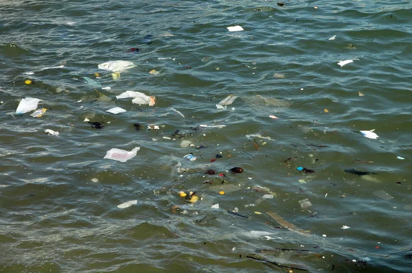 Waste on the surface of the ocean