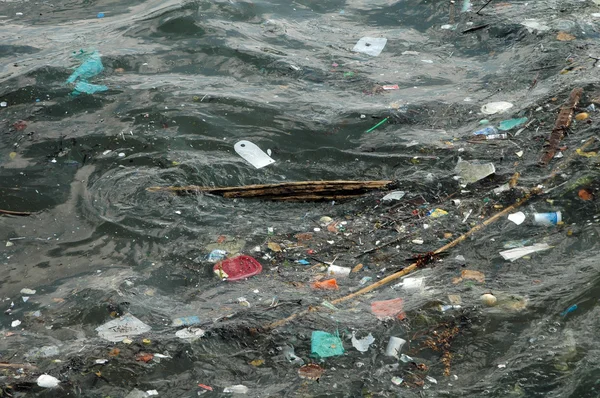Abfall auf der Oberfläche des Ozeans — Stockfoto