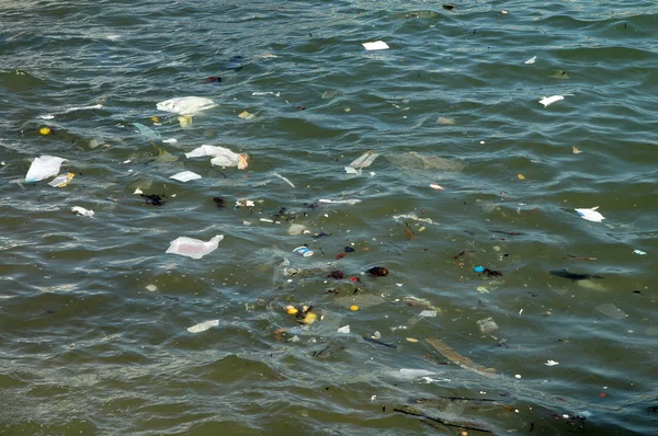 Az óceán felszínén hulladék Jogdíjmentes Stock Fotók