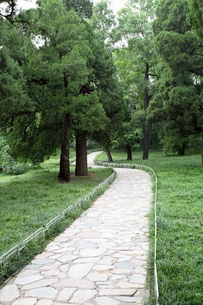 Каменная дорога в лесном парке — стоковое фото