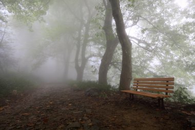 Mountain trail and chair in fog clipart