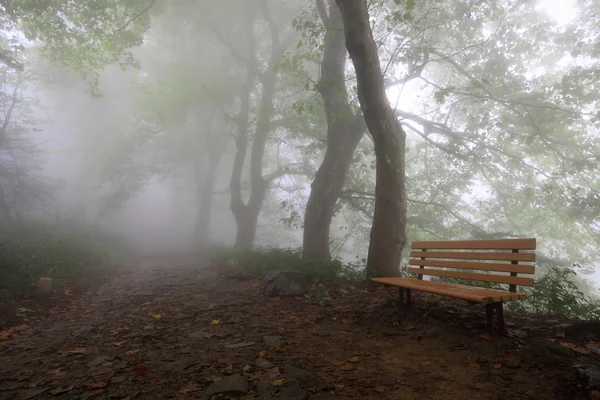 stock image Mountain trail and chair in fog