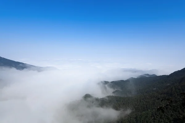 Halila hustá mlha v údolí — Stock fotografie