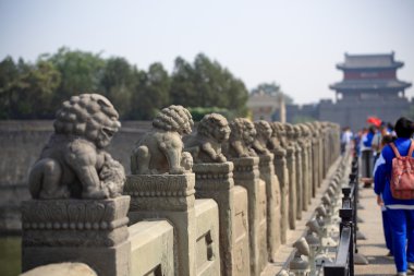 Stone lion on the lugouqiao in beijing clipart