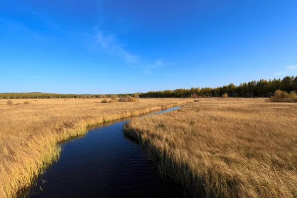Waterway across the wetland — Stock Photo, Image