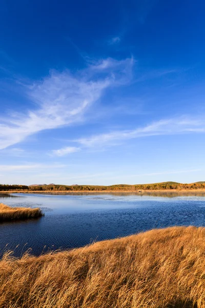Lago e zone umide in autunno — Foto Stock