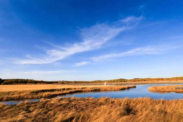 See und Feuchtgebiete im Herbst — Stockfoto
