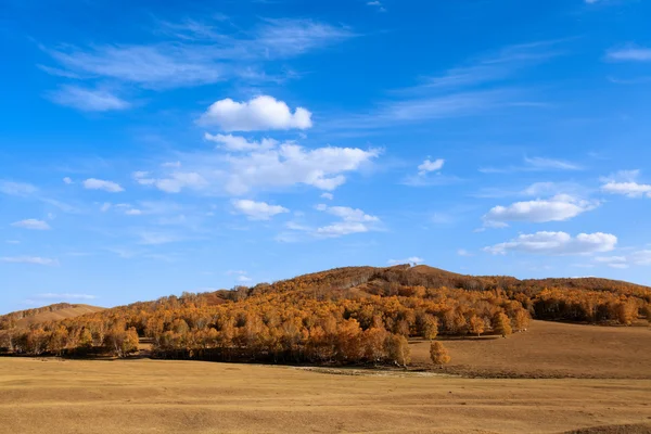 Autumn grassland — Stock Photo, Image