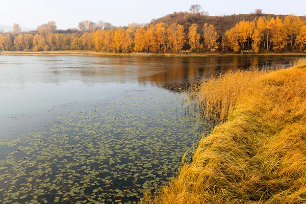 Herbst am Seeufer — Stockfoto
