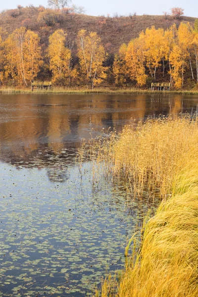 Jezero scenérie podzim — Stock fotografie