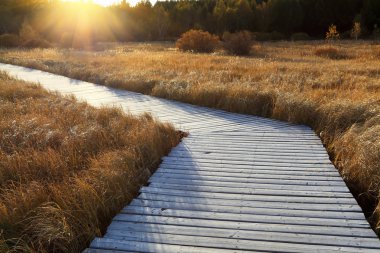 Wooden footbridge across the wetland clipart