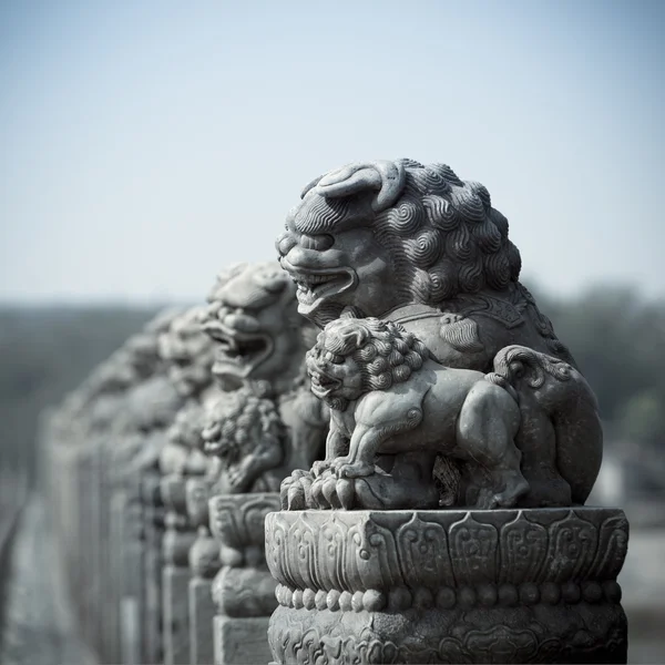 Ancient stone lion — Stock Photo, Image