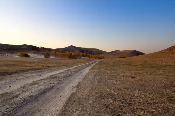 Onverharde weg in de prairie — Stockfoto
