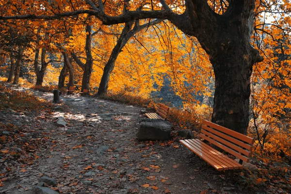 Autumn mountain trail — Stock Photo, Image