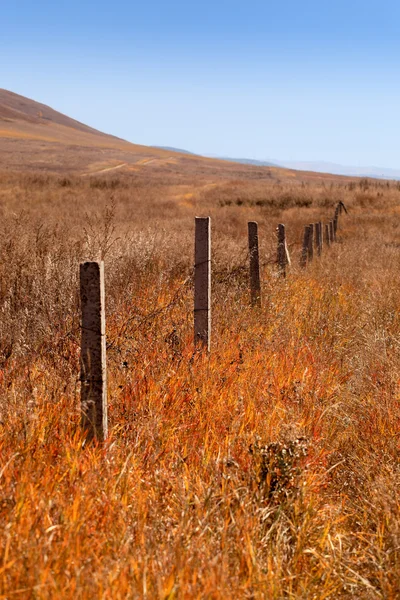 柵の草原 — ストック写真