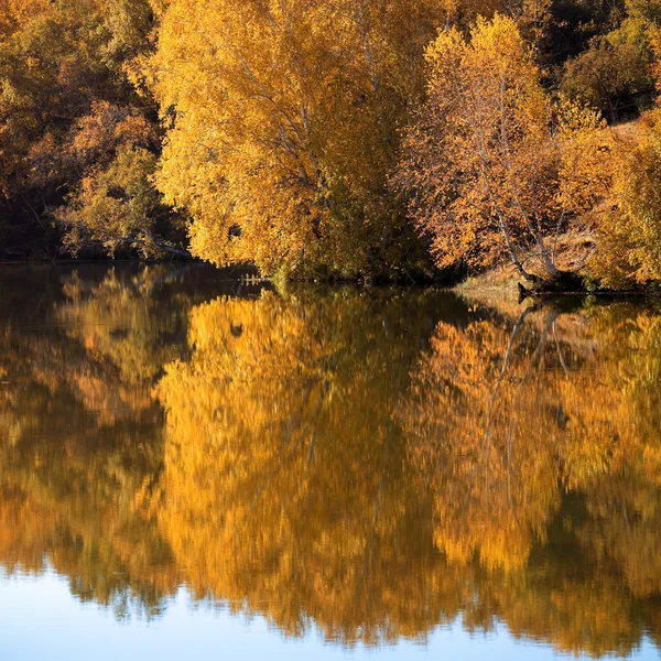 Lago bosco in autunno — Foto Stock