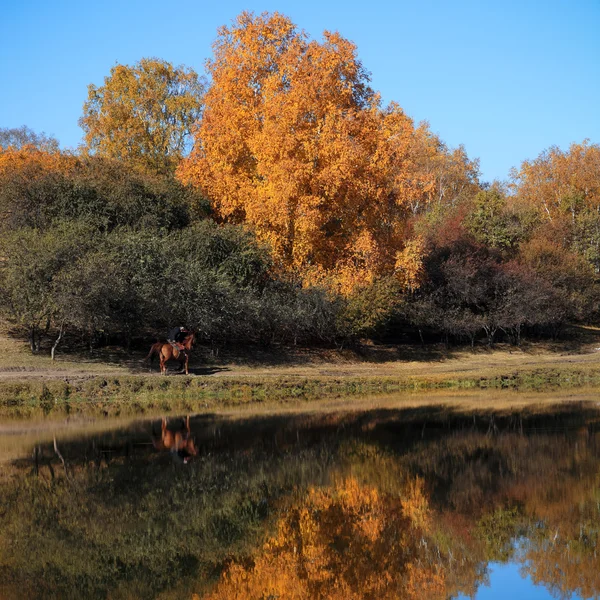 Herfst landschap in lake — Stockfoto