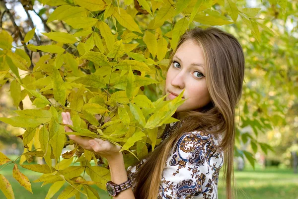 Chica sonriente caminando en el parque de otoño —  Fotos de Stock