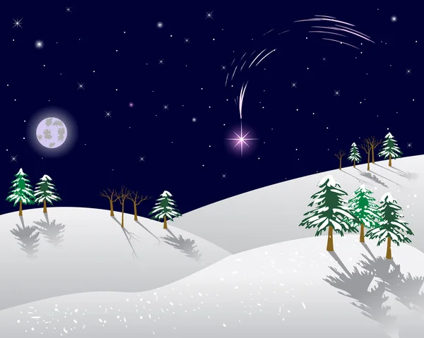 Зимний пейзаж с рождественской звездой . — стоковый вектор