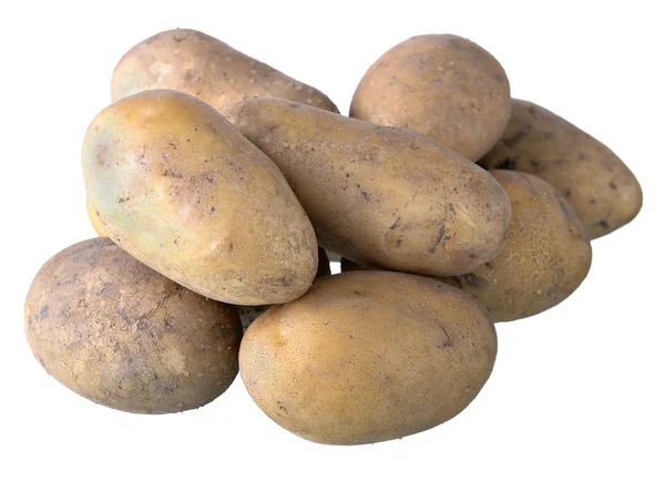 stock image Potato