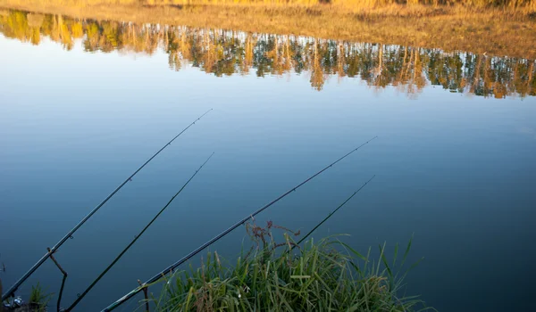 stock image Autumn fishing