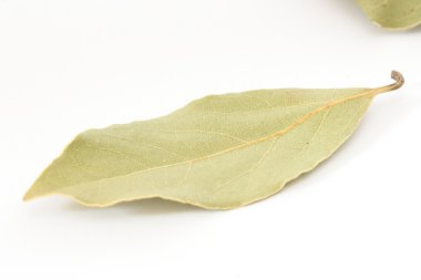 Bay leaf spice on white background clipart