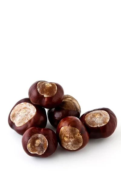 Wild horse chestnut — Stock Photo, Image