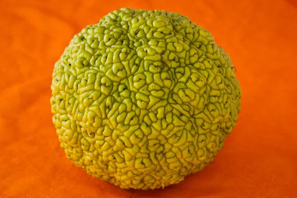 Round green fruit — Stock Photo, Image