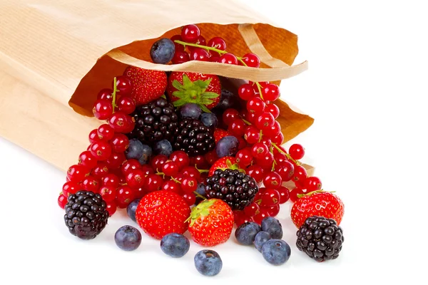 Táska, egészséges, friss gyümölcsökkel — Stock Fotó