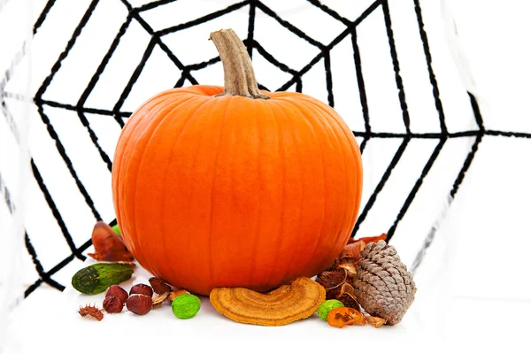 Abóbora de Halloween e teia de aranha — Fotografia de Stock
