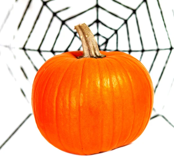 Abóbora de Halloween e teia de aranha — Fotografia de Stock