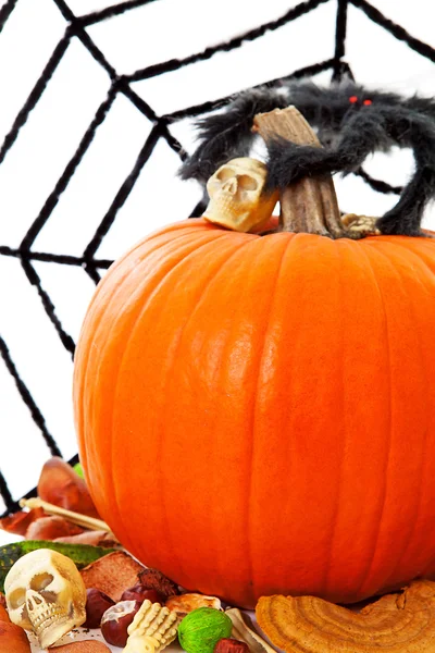Halloween pumpkin and spider web — Stock Photo, Image