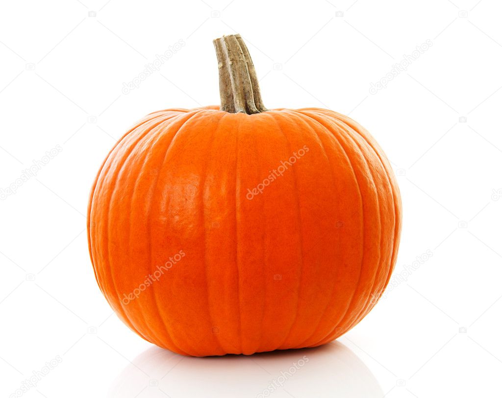 Big orange pumpkin