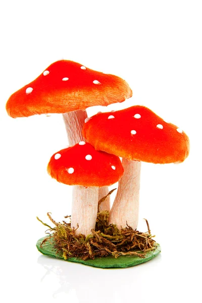 stock image Red dotted mushroom