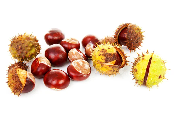 Couple of chestnuts — Stock Photo, Image