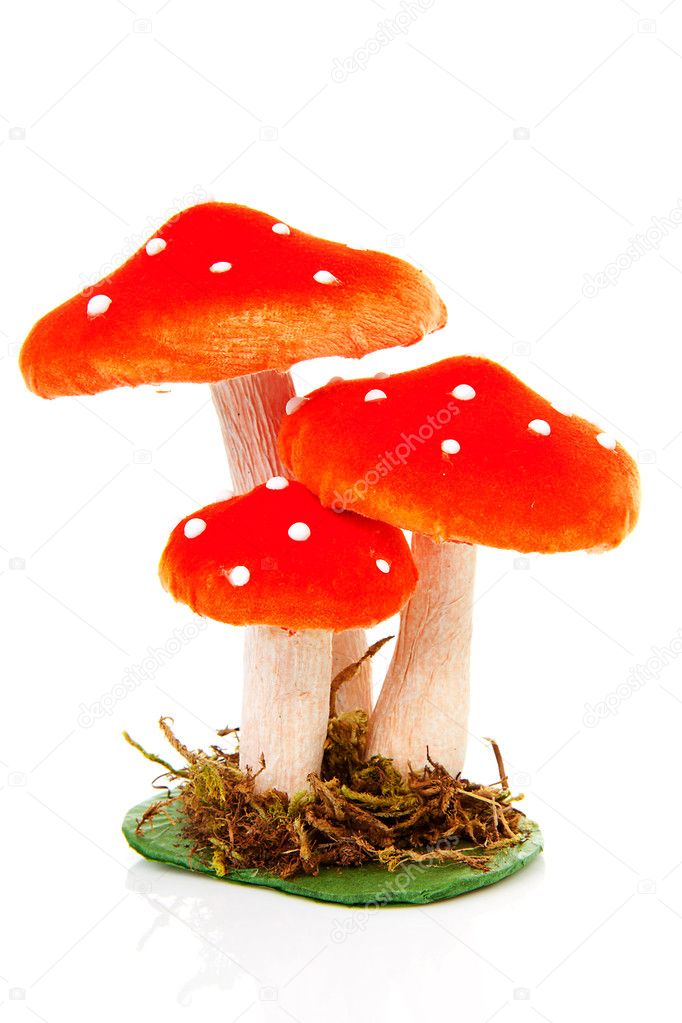 Red dotted mushroom Stock Photo by ©sannie32 6750163