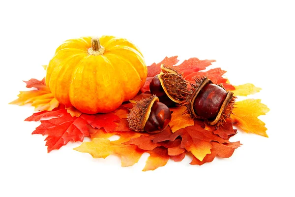 Kürbis, Kastanien und Seide Herbstblätter — Stockfoto