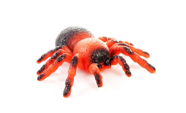 Brinquedo de aranha plástica — Fotografia de Stock