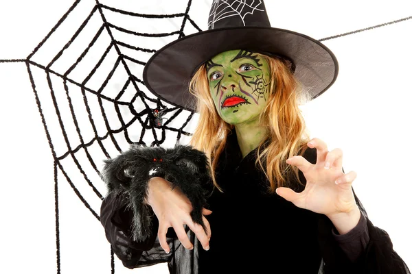 Scary little green witches for Halloween with spiderweb — Stock Photo, Image