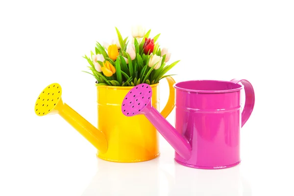 Duas regadoras com tulipas coloridas — Fotografia de Stock