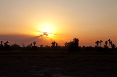 Afrika güzel turuncu günbatımı