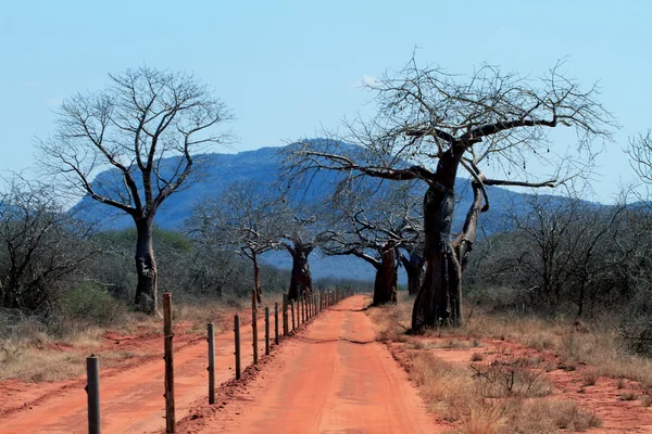 Африканські дороги червоний — стокове фото