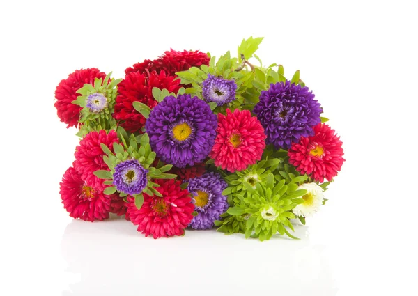 Букет разноцветных цветов Asters — стоковое фото