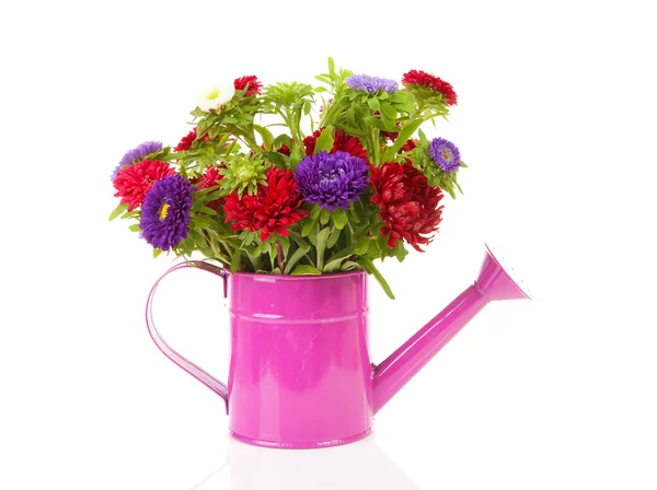 핑크 급수 깡통에서 화려한과 꽃 꽃 — 스톡 사진