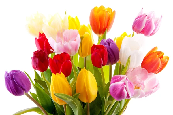 Bouquet de tulipes colorées — Photo