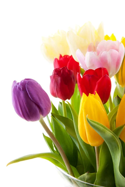 色とりどりのチューリップの花束 — ストック写真