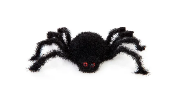 Чёрный страшный волосатый паук — стоковое фото