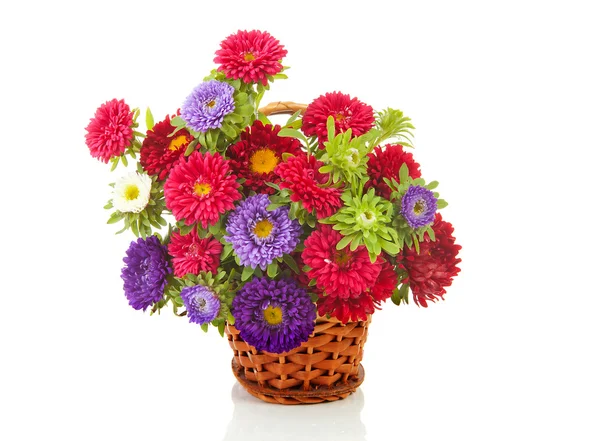 Bouquet of colorful Asters flowers in cane basket — Stock Photo, Image