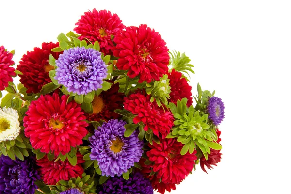 Boeket van kleurrijke asters bloemen — Stockfoto