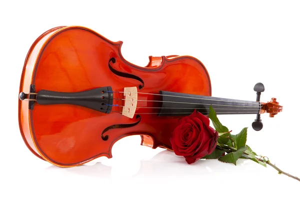 Βιολί και τριαντάφυλλο — Φωτογραφία Αρχείου